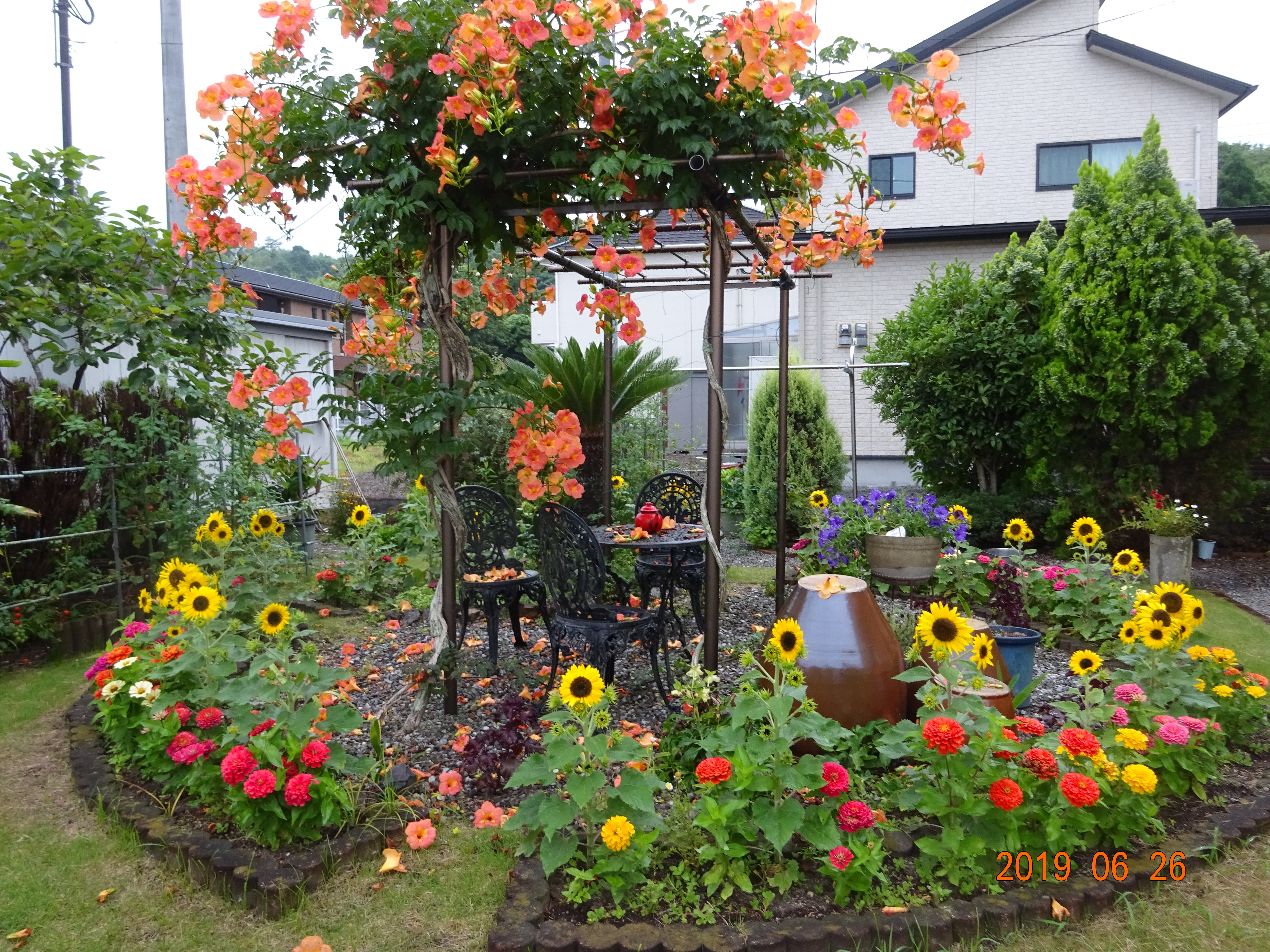 花々が咲き誇る初夏の南側メイン花壇