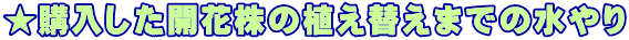wJԊ̐Aւ܂ł̐ 